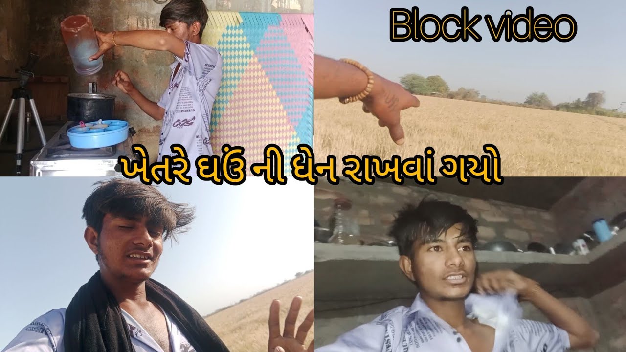 ખેતરે ઘઉં 🌾ની ધેન રાખવાં🌾 ગયો હતો.🥰   block.     video 🌾🌾🌱# comedy season