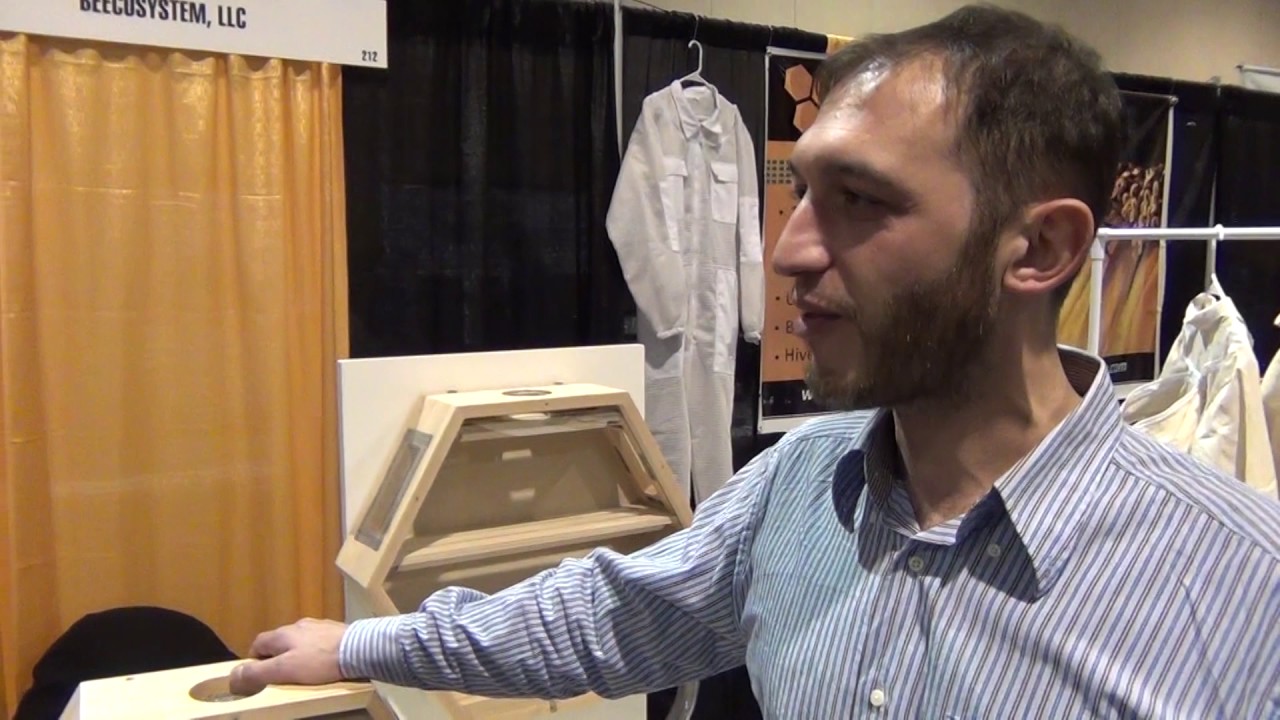 Beecosystem - Observation Hives: a new standard