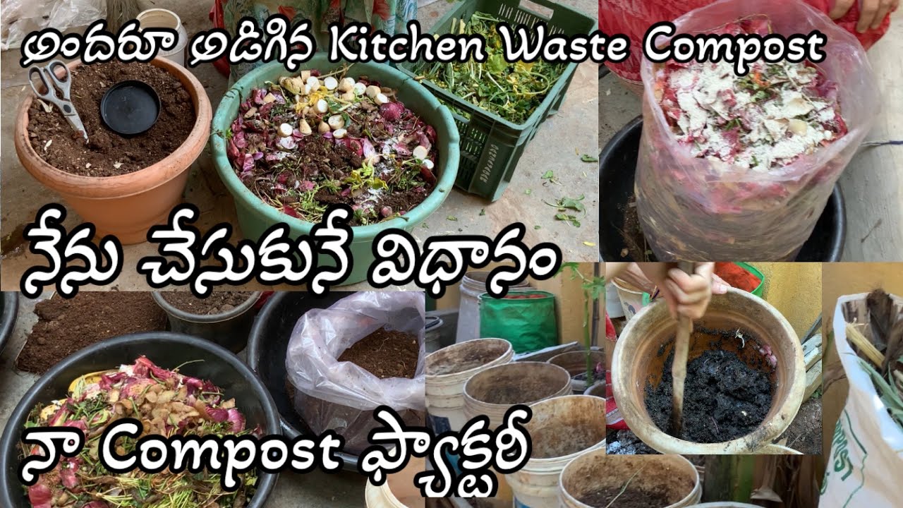 Kitchen waste compost preparation