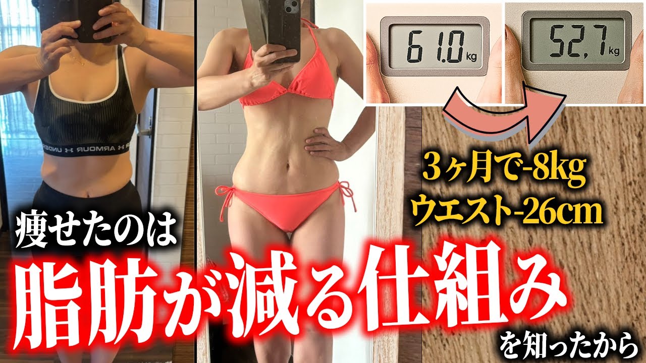 【50代ダイエット】3ヵ月で8kg痩せたのは「脂肪が減る仕組み」を知ったからです