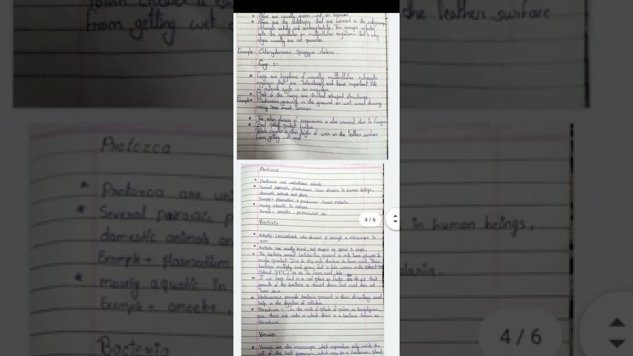 class 8 micro organisms notes