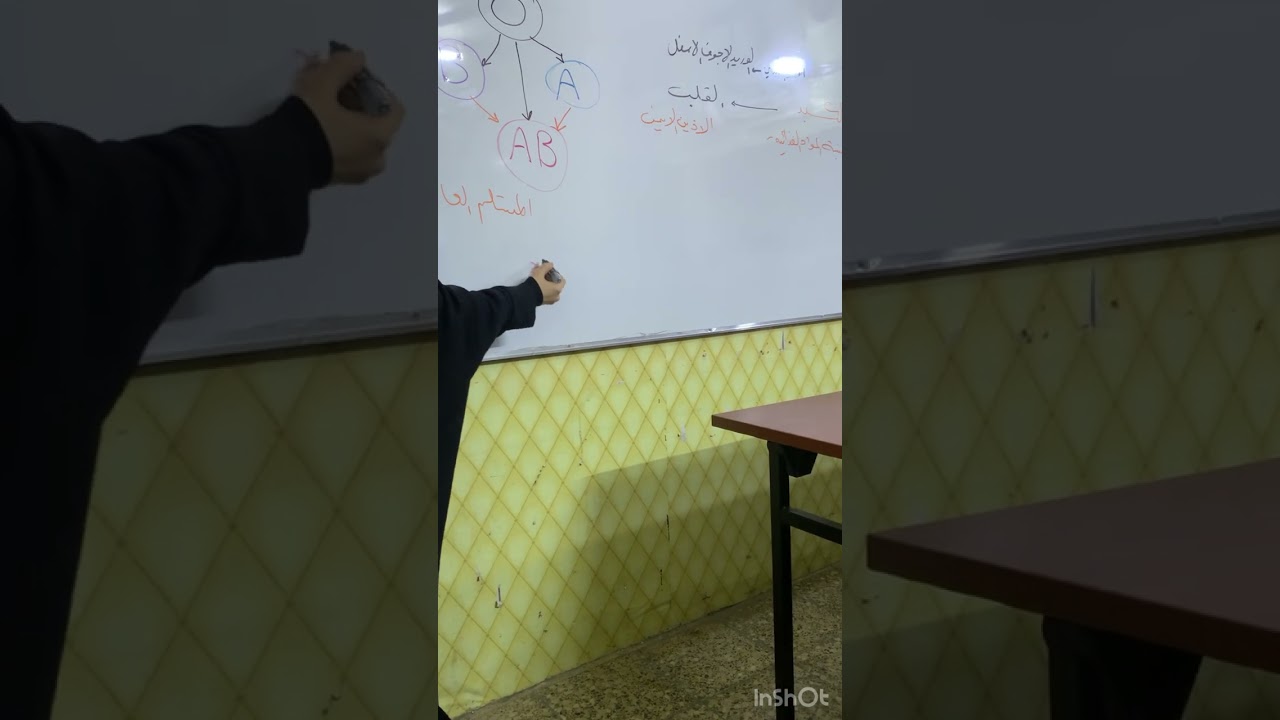 فصائل الدم ABO / احياء الثالث متوسط / الست رفل البعاج طريقة سهلة وسريعة للفهم  / الفصل الخامس 🫀🩸