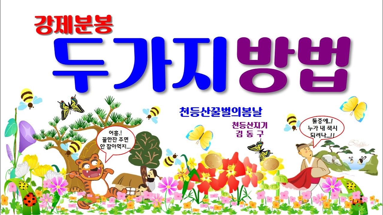 토종벌 강제분봉의 2가지 방법
