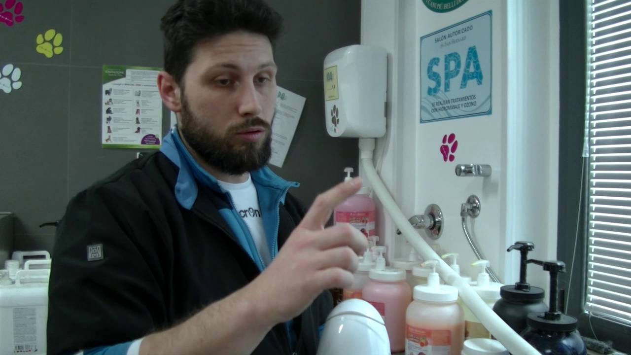 Beauty Dog San Salvo - Spa Idromassaggio con Ozonoterapia