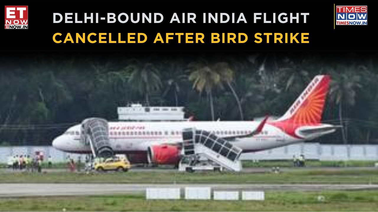 Delhi-Bound Air India Flight Cancelled After Bird Hit Incident At Pune Airport | Breaking News