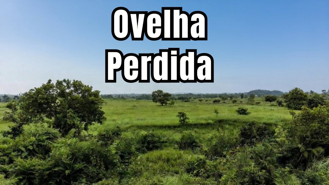 Ovelha perdida/Ainda há caminho de volta 