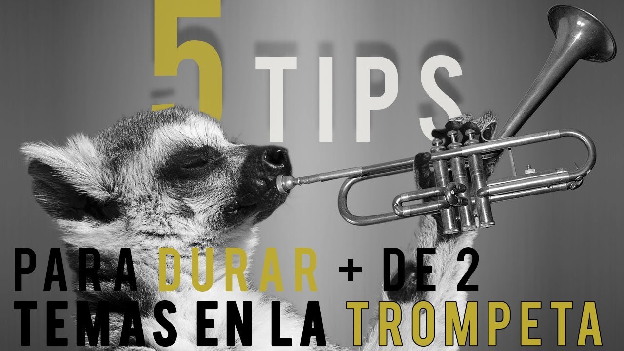 5 TIPS para Durar MÁS de 2 Canciones