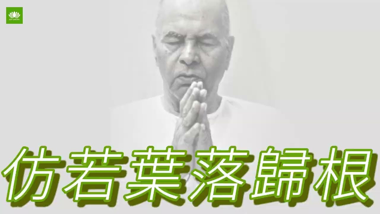 仿若葉落歸根，悠然自我脫落。 // 帕帕吉開釋傳導節選編譯（之四）