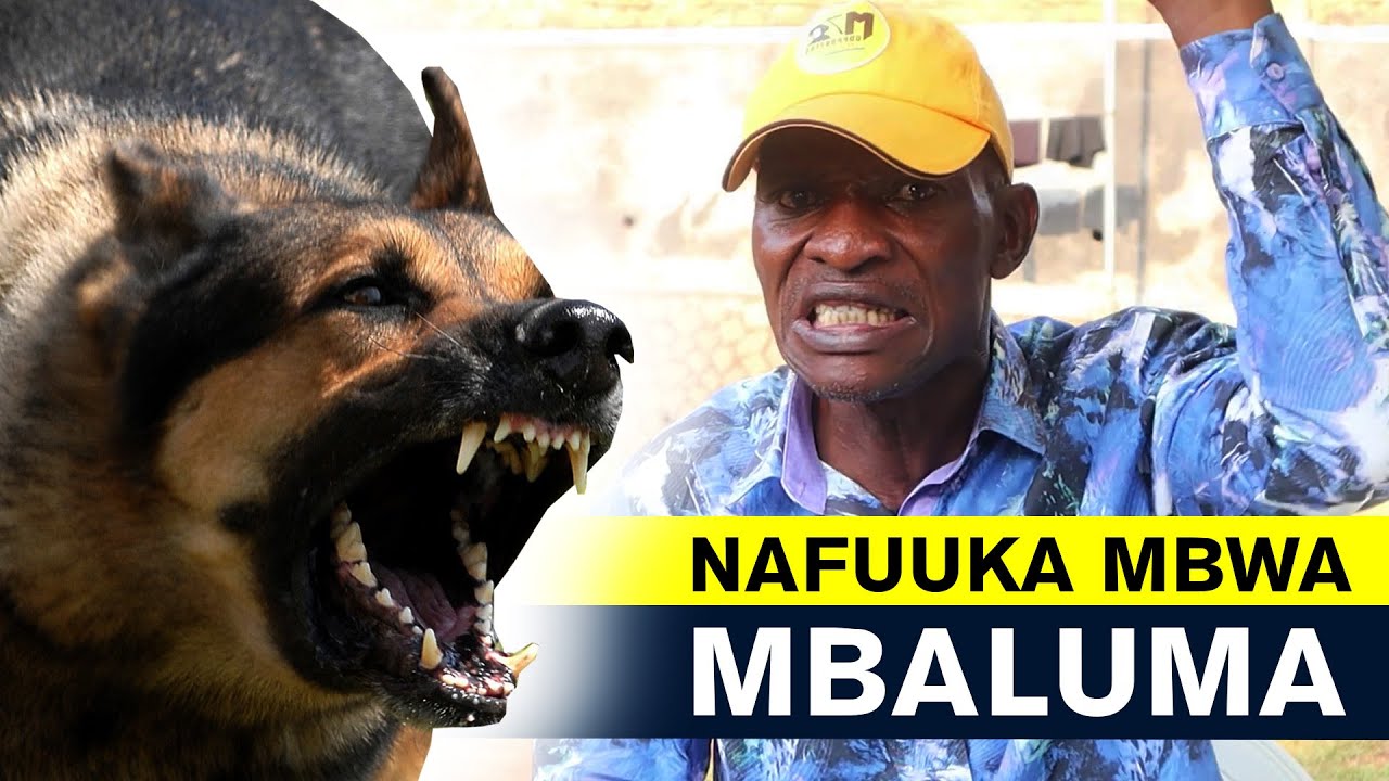 Nze Ndi Mbwa Nalwala Rabbies.Buli Omu Muluma-Tamale Mirundi