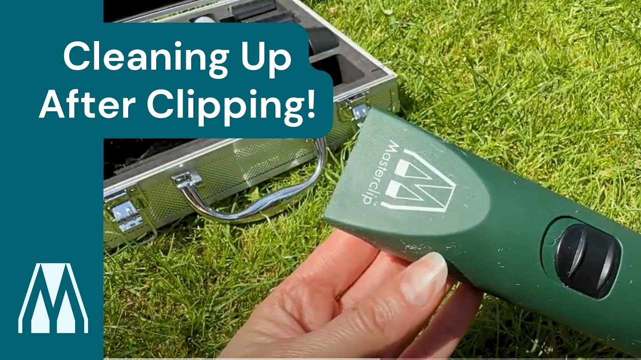 How to clean the Masterclip cordless MD Roamer clipper & A5 blades #dogclip #cleaningtips