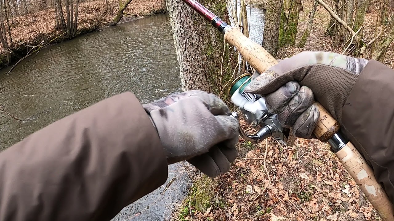 Kelt 82cm