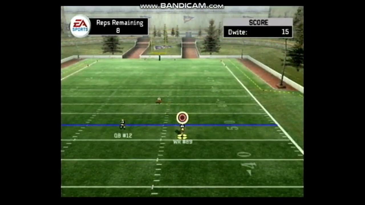 NCAA Football 07: WR/RB Catching