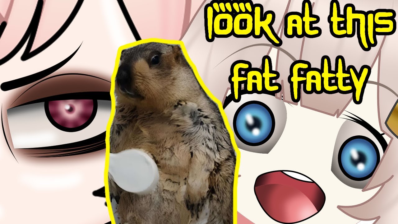 marimari_en body shames a marmot ft. pippa