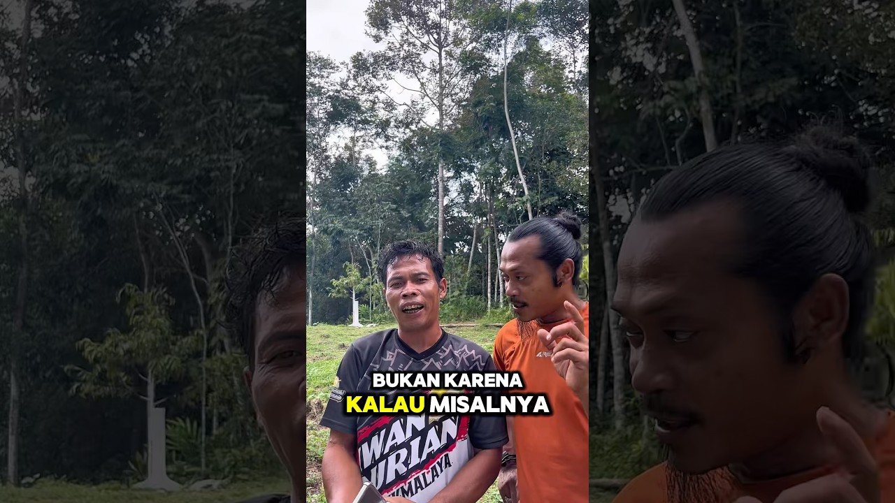 Alasan topworking durian Bawor #durian  #reels  #nyentang