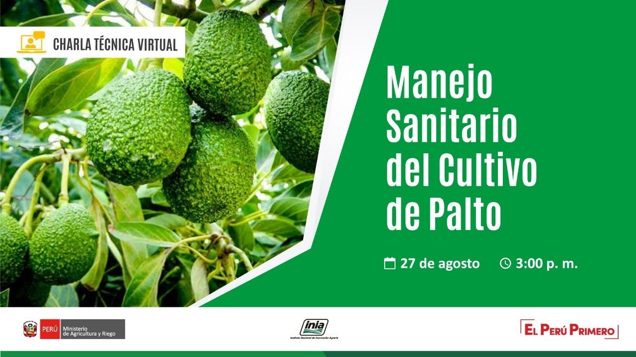Charla técnica 