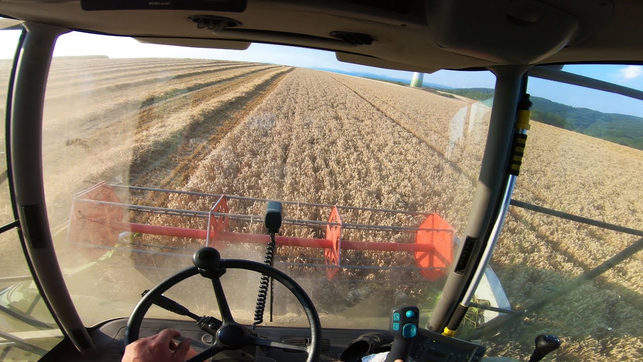 [POV] Dreschen mit CLAAS Lexion 405 - Ernte 2018 Cabview