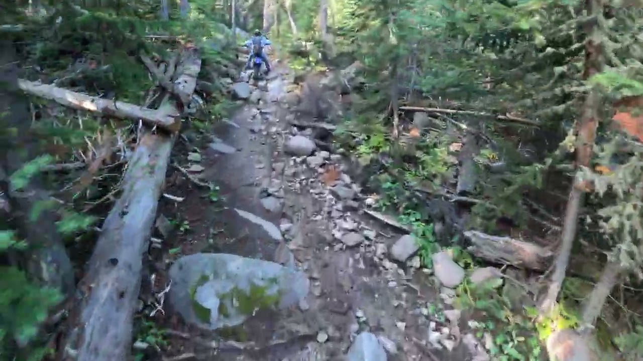 AT81EX vs JX8 Gummy Tires Exceptional Rock Grip