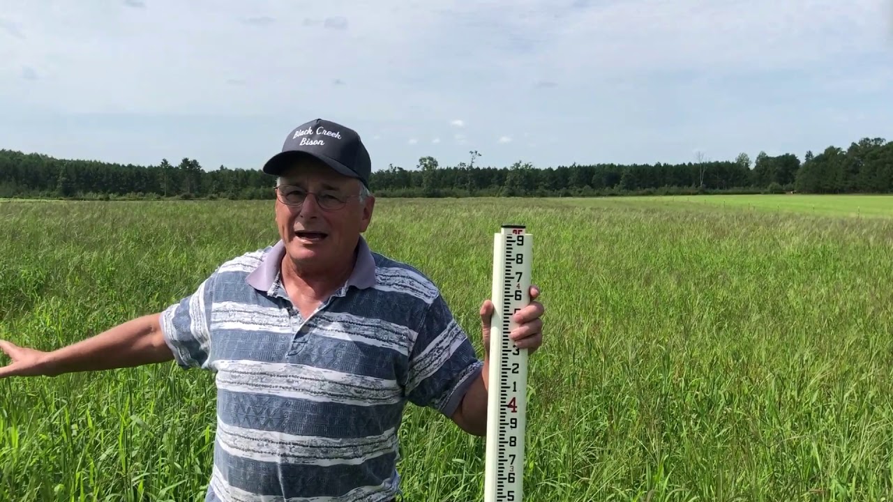 Forage crabgrass, an alternative forage for the upper Midwest: A farmers perspective