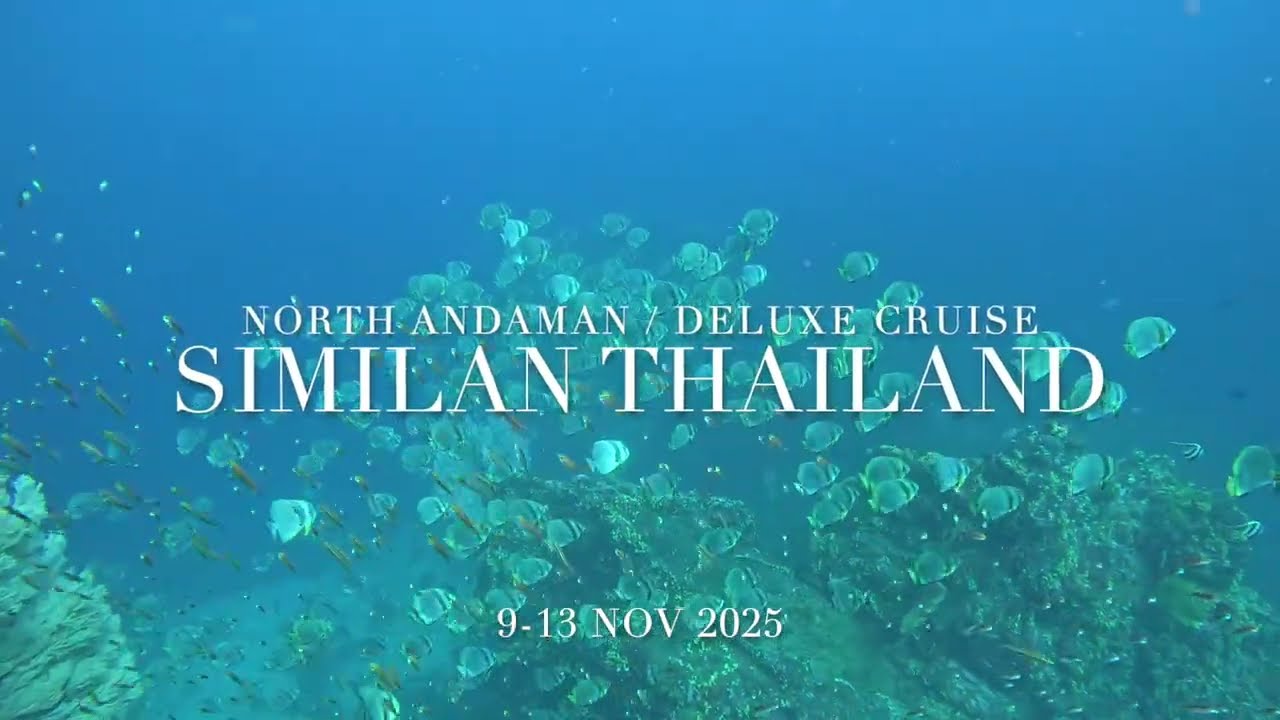 9-13 NOV 2025 | NORTH ANDAMAN DELUXE CRUISE | MV Mandarin Queen 9