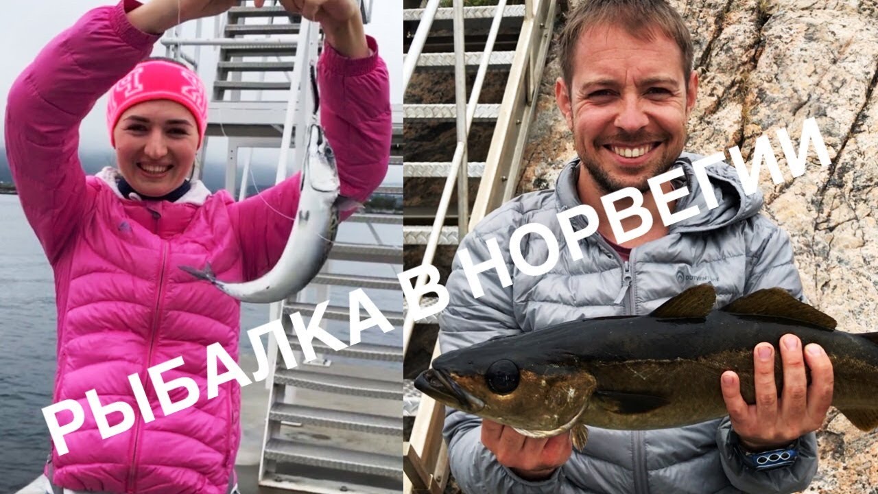 РЫБАЛКА В НОРВЕГИИ 2018 с берега самостоятельно! Алесунд | ep5