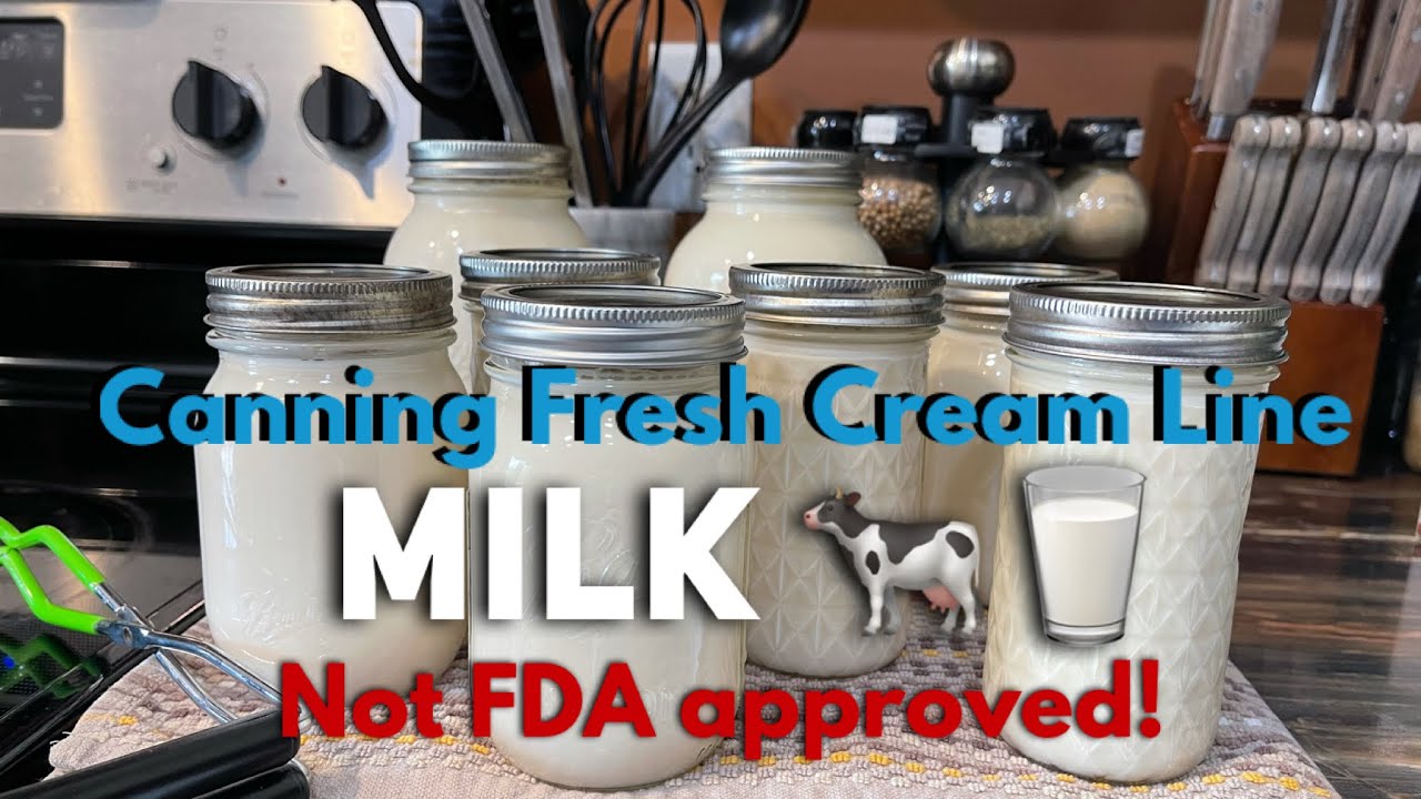 REBEL CANNING | CANNING CREAM LINE MILK FROM LOCAL DAIRY