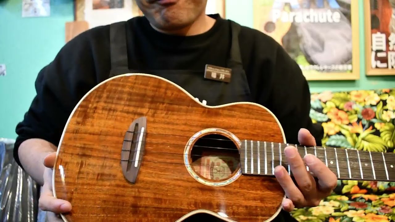 NEW/aNueNue AAA3 Tenor【お茶の水店】 @ukuleleshoptantan