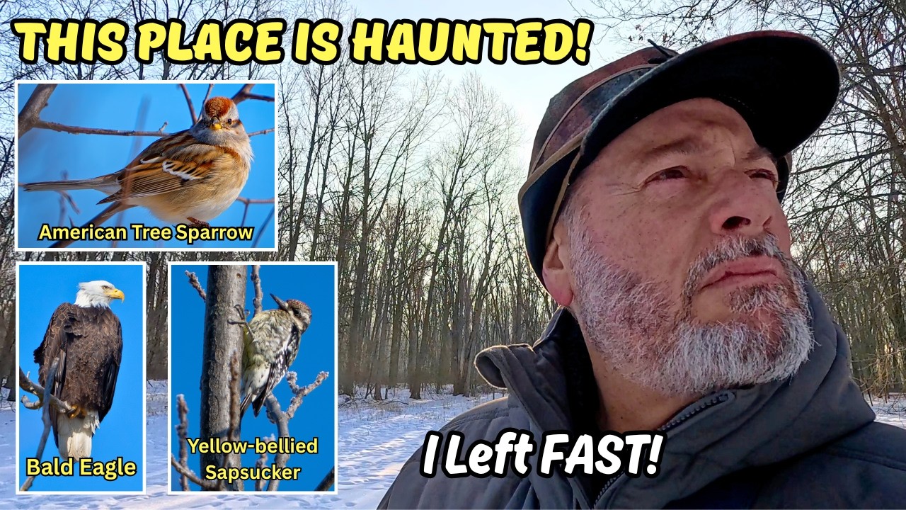 Birding in Haunted Woods!  Putrid Smell!  Feeling of Being Watched!  Then IT Happened!!!