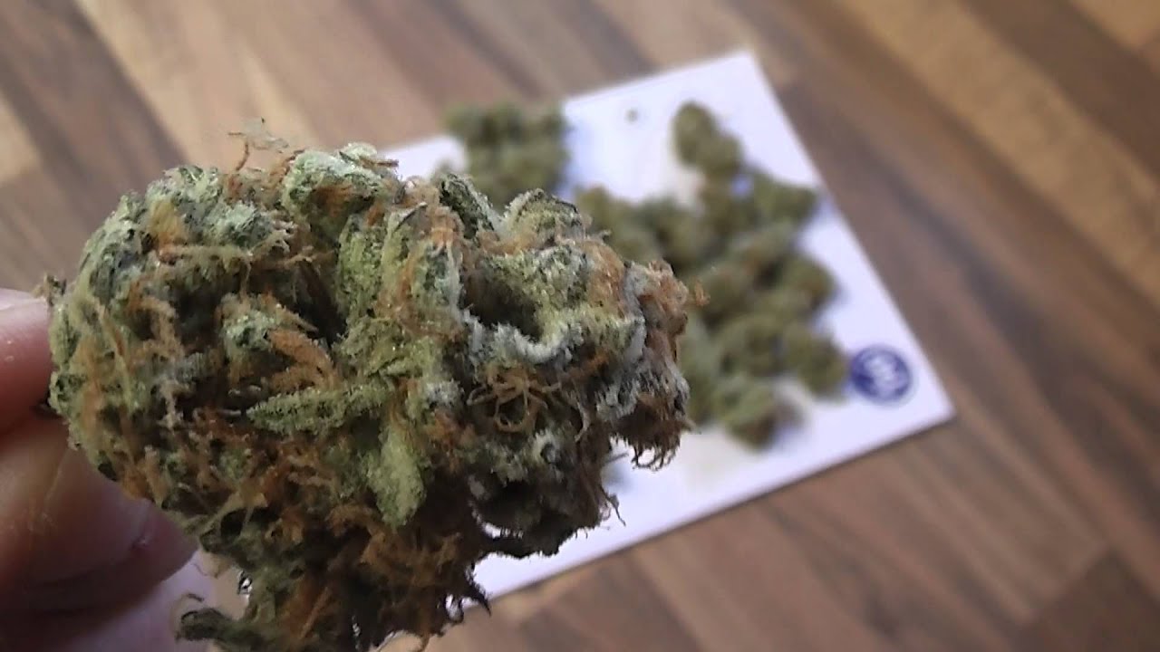 spacebomb #1 bud shots pt1