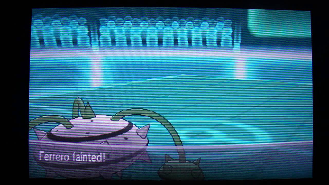 Pokemon Y walka WiFi: Vs. Pdwinnall (Rewanż)