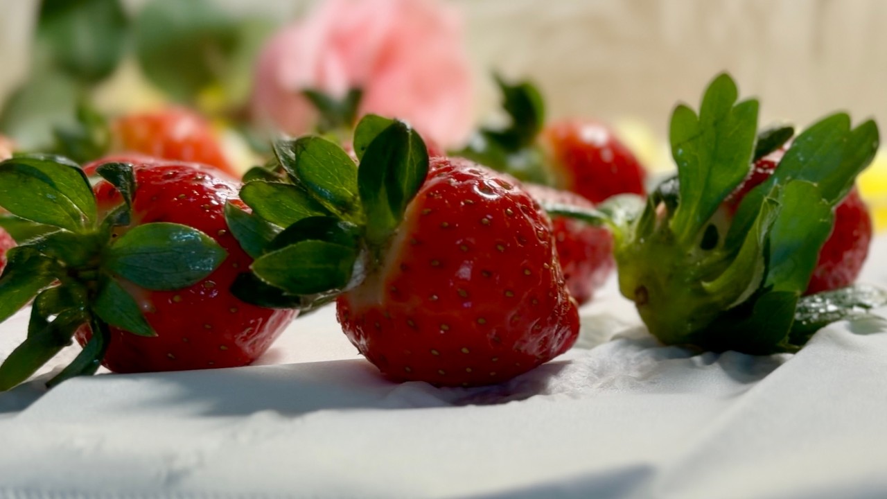 The Secret to Perfect Chocolate Strawberries Every Time
