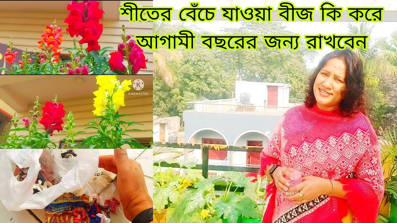 Siter beche jaoya bij ki kore agami bachorer janno rekhe deben.#roofgarden