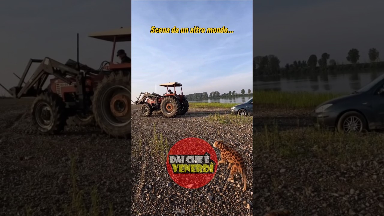 Esperienza SURREALE con il Canepardo sul fiume
