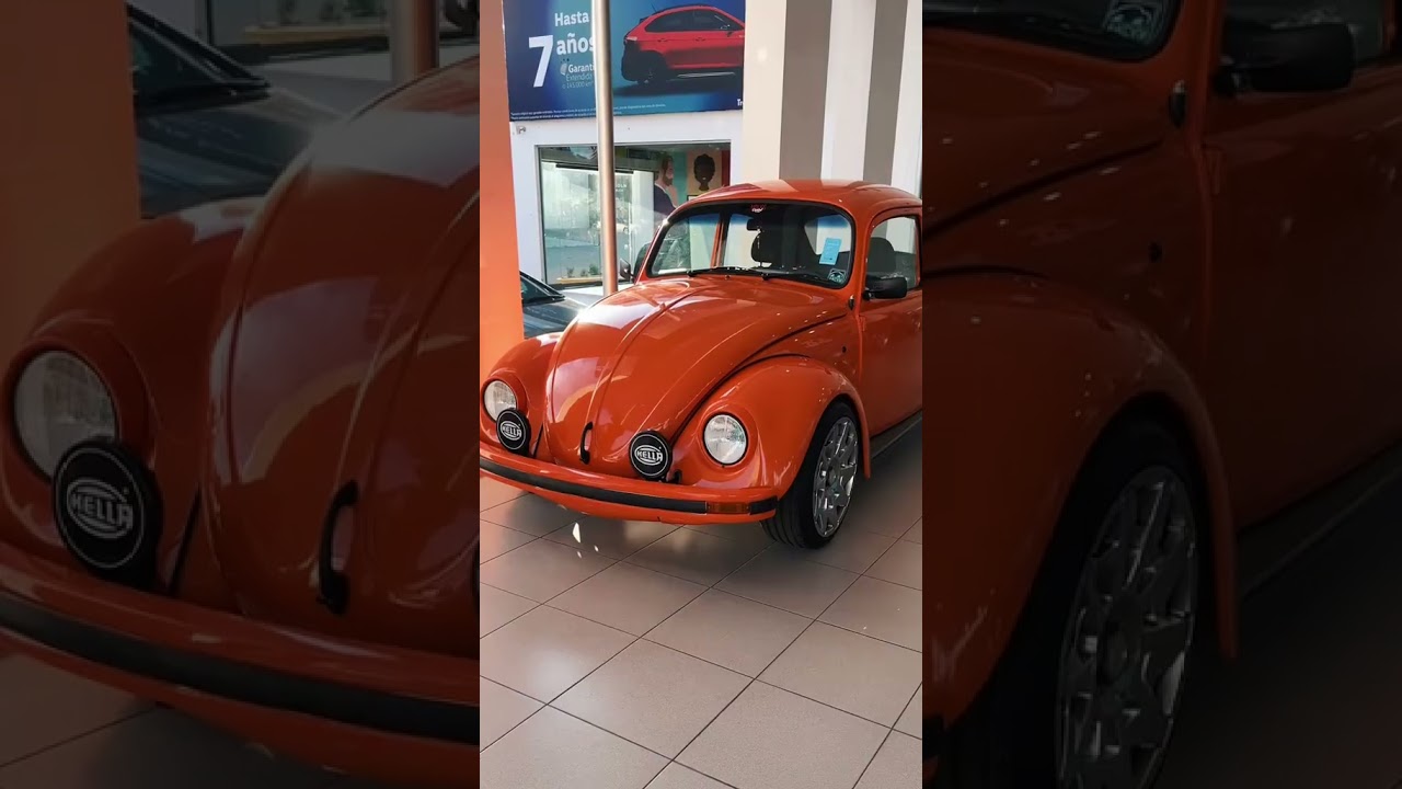 Hermosos vochos 