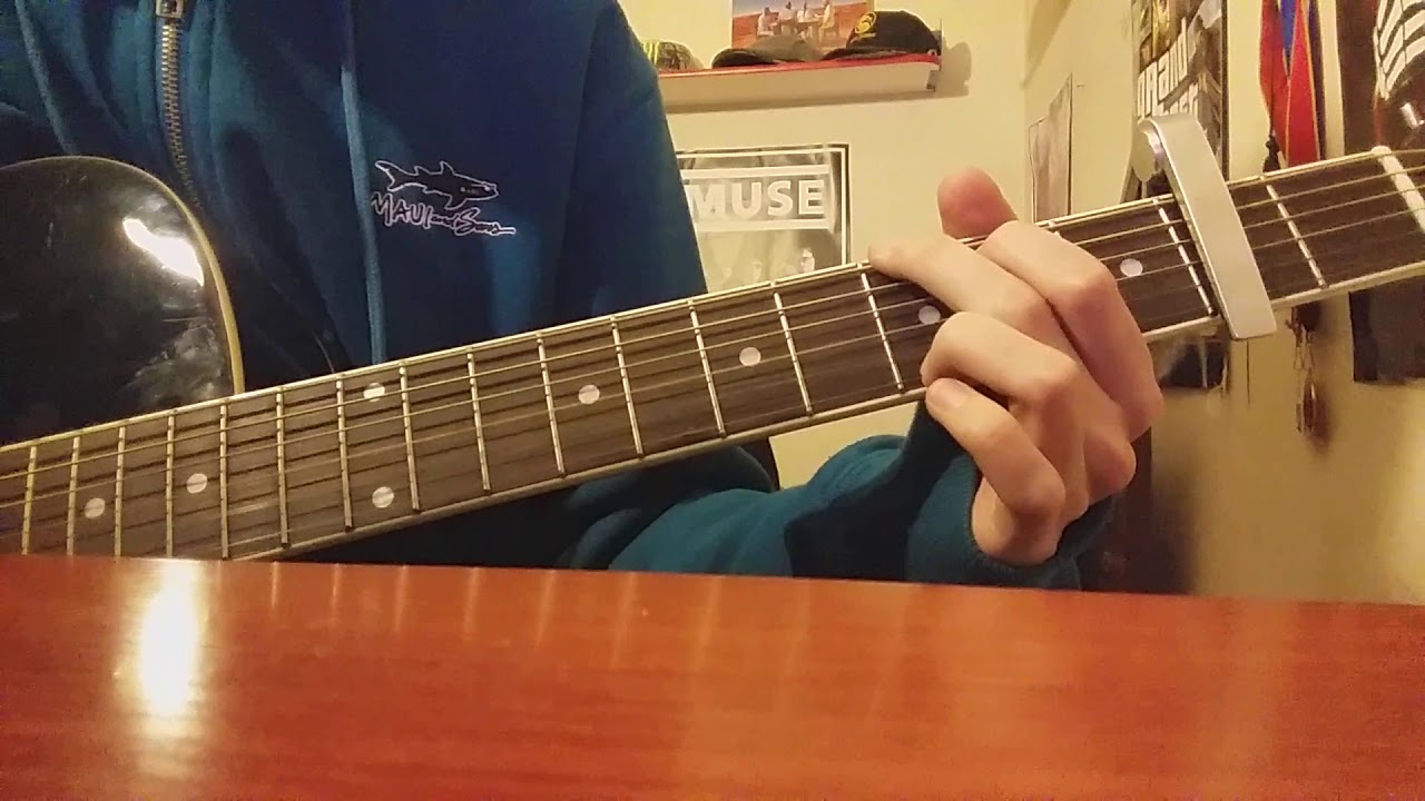 salvia palth - reprise cover