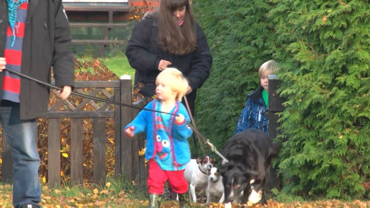 Leva och bo i Laholm