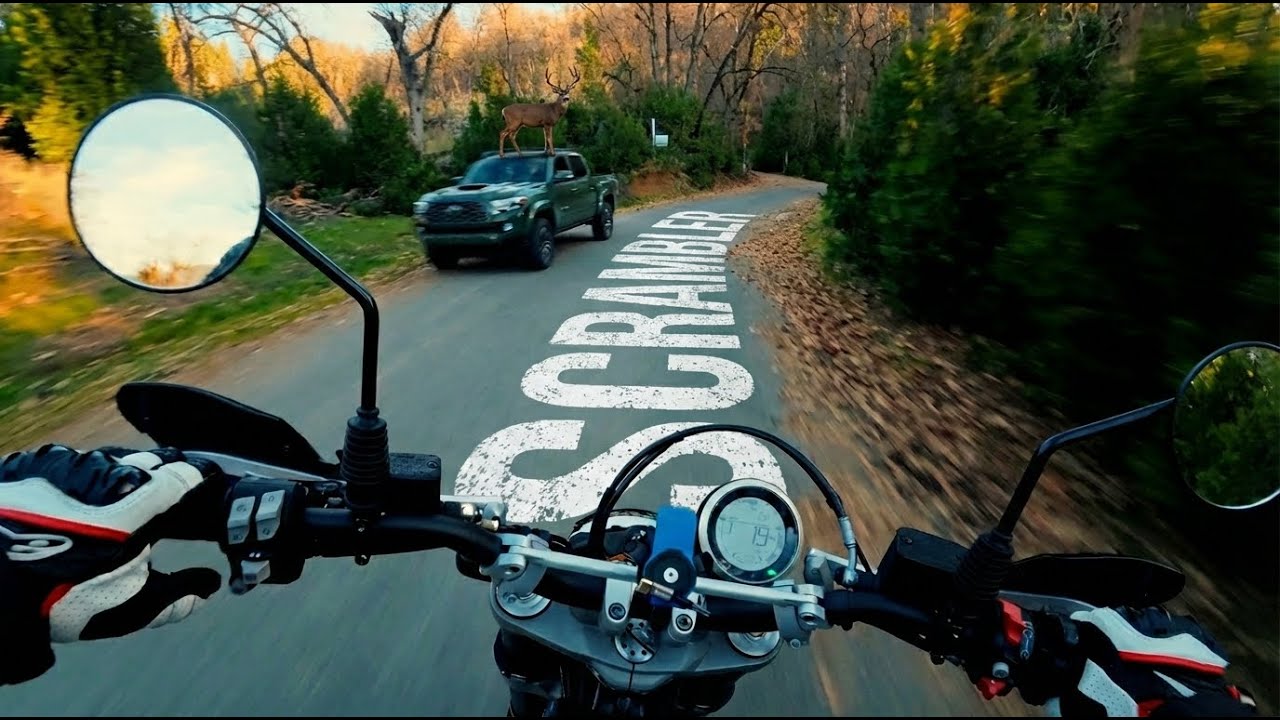 Z900 to DUCATI SCRAMBLER! 🏜️ | Balch Park Rd. Adventure | Bike Trade