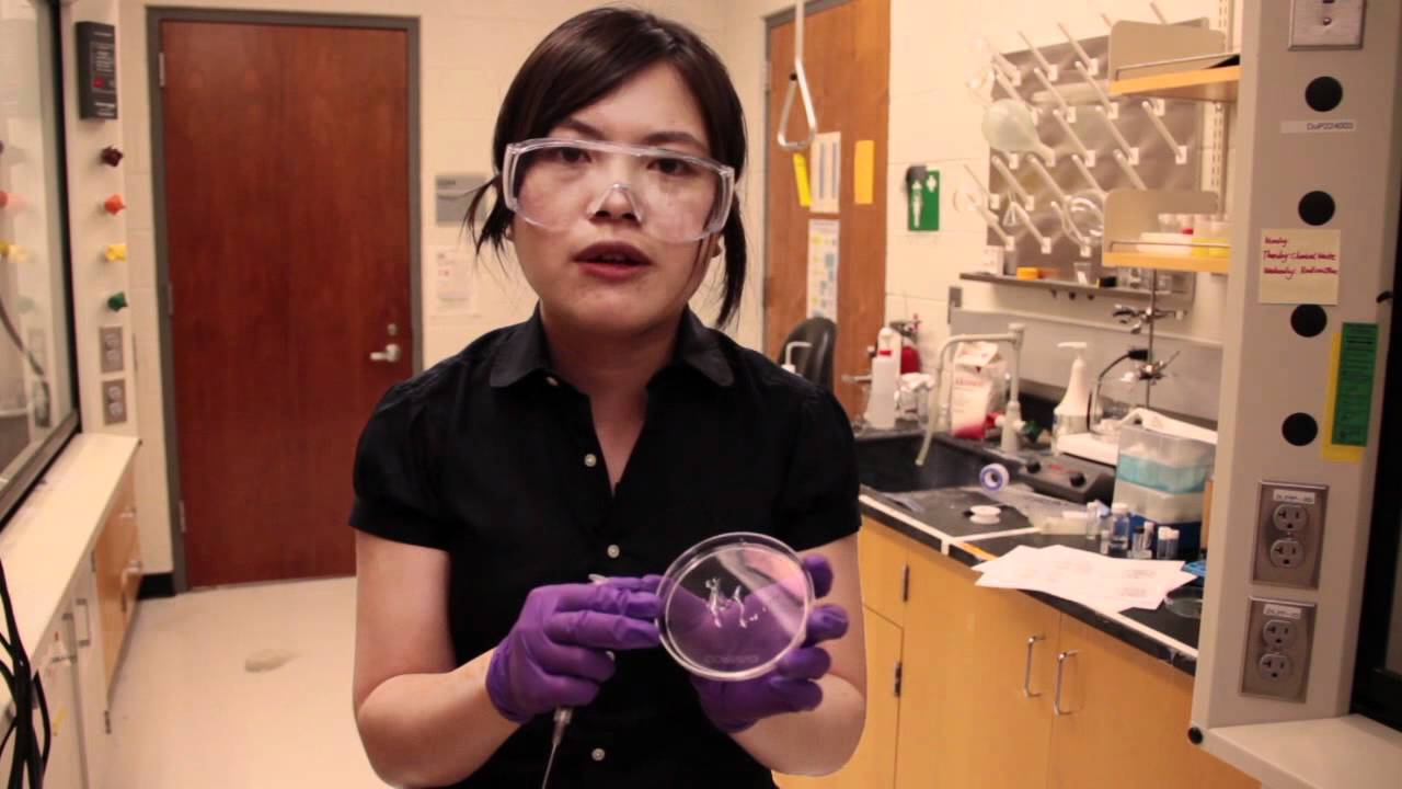Peptide Hydrogels