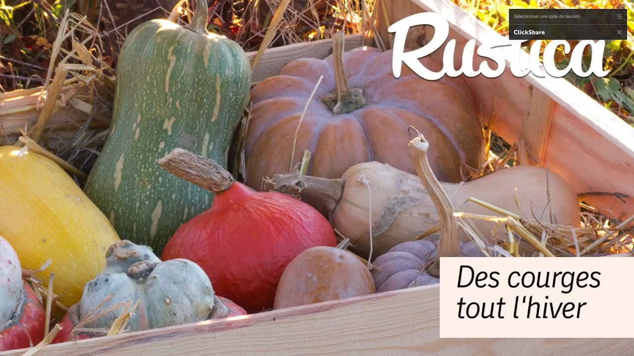 Conserver des courges tout l'hiver
