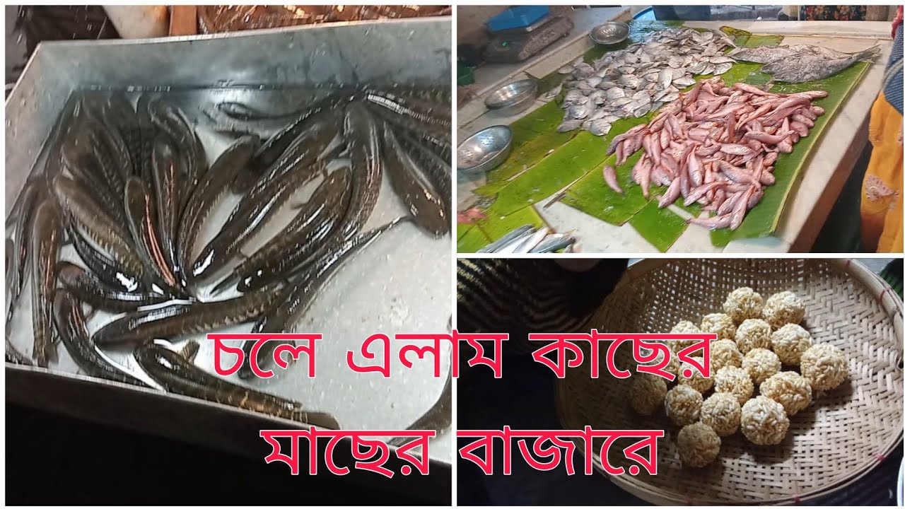 সকাল সকাল চলে এলাম পাশের মাছের বাজারে || মনমুগ্ধকর মুখরোচক মোয়া।। 