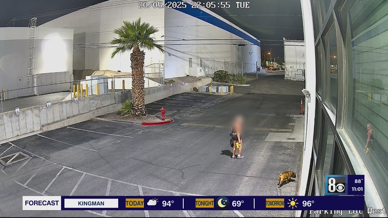 Las Vegas shelter sees increase in animal dumping ahead of summer temperatures