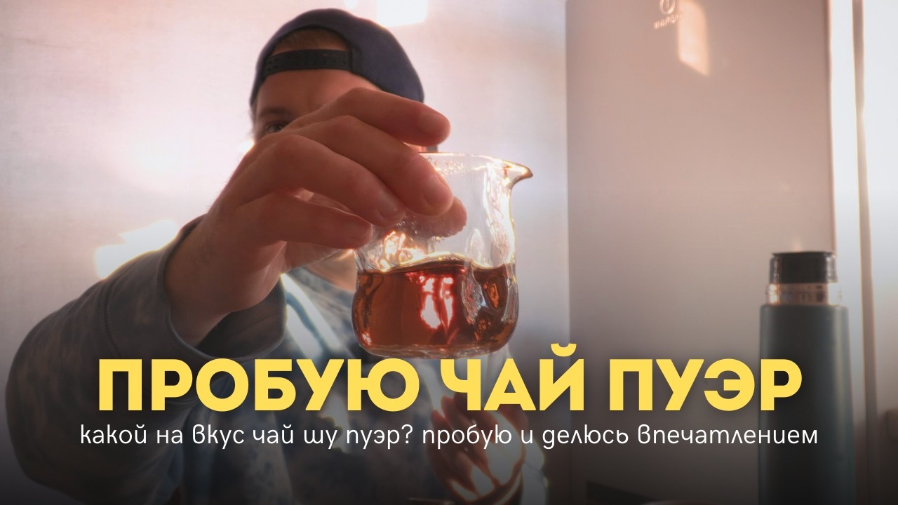 Пробую чай шу пуэр. Мягкий чай который бодрит. Делюсь впечатлением.