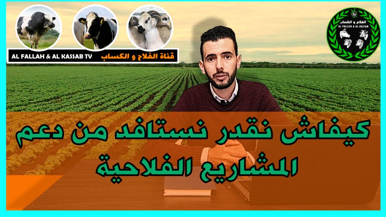 طريقة الإستفادة من الدعم المالي وتحفيز الدولة لدعم المشاريع الفلاحية