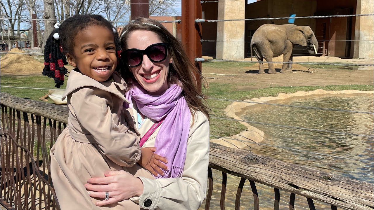 Elephantastic Times