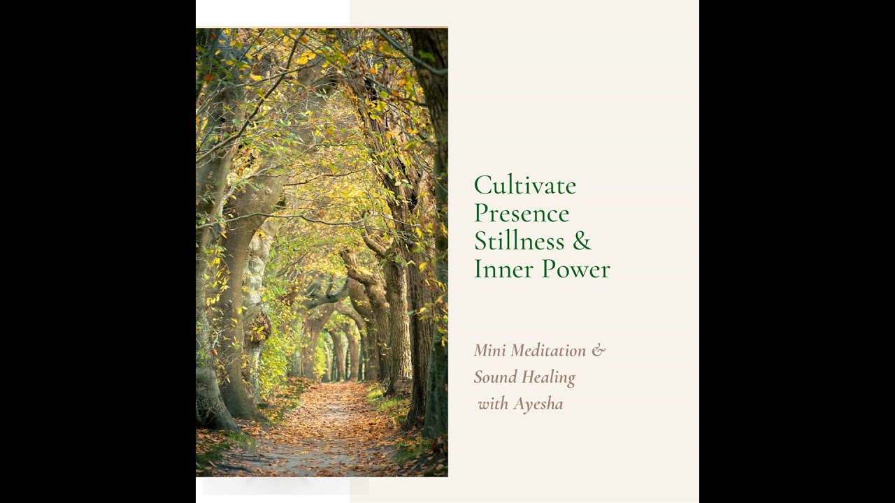 Cultivate Presence. Stillness & Inner Power