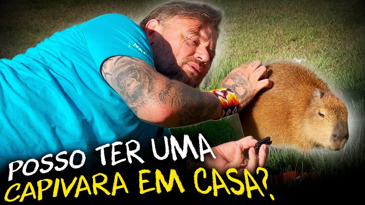 VOCÊ PODE TER UMA CAPIVARA COMO PET!