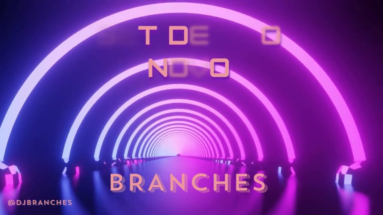 SET ANO NOVO  DJ BRANCHES