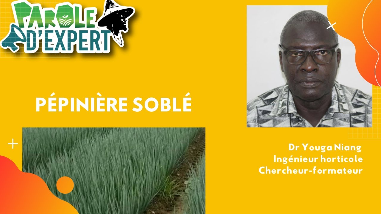 PAROLE D'EXPERT pépinière soblé