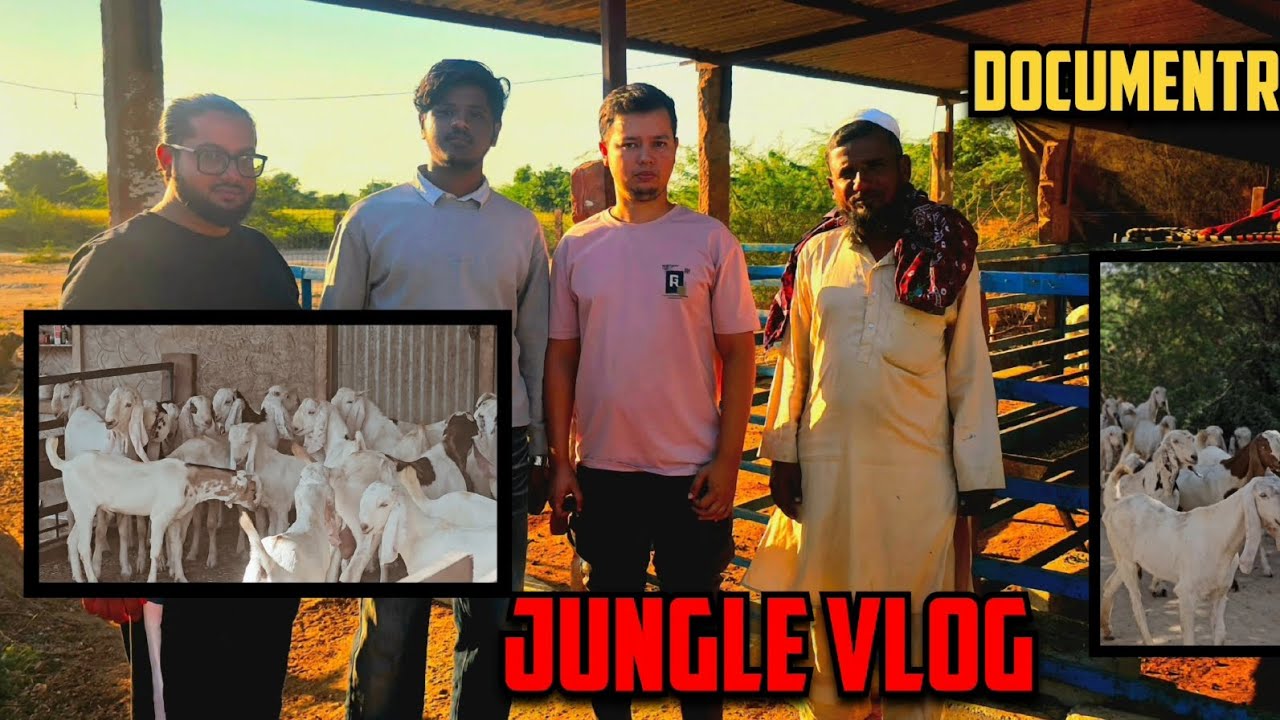SOJAT JUNGLE DOCUMENTRY | HOW FARMER'S ARE PURCHASING THERE GOATS FROM JUNGLE.