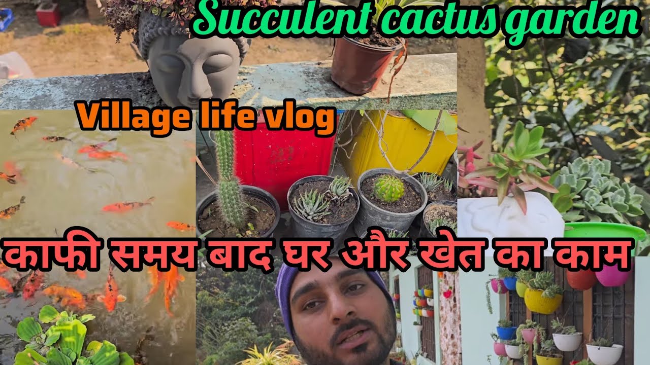 village life vlog | बहुत समय बाद घर और खेत में काम 🌱| plants lovers vlog | succulent cactus garden 