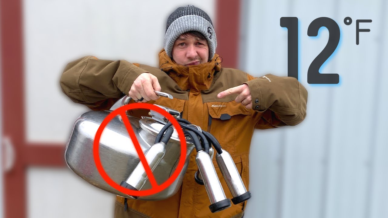 When it's TOO COLD to Milk my Cow...